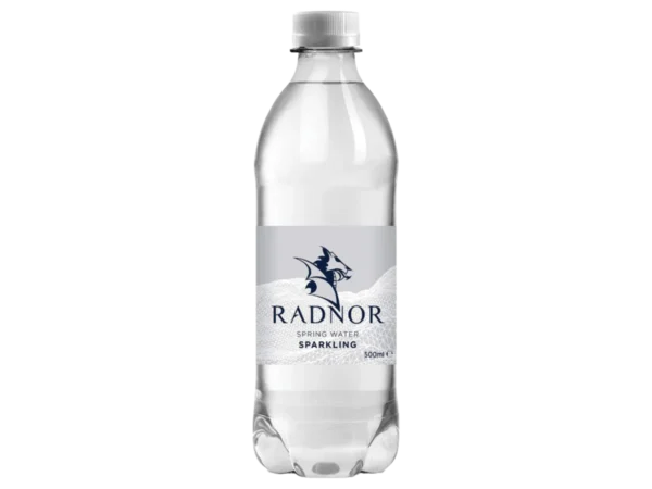 Sparkling Water 500ml